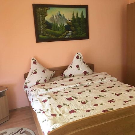 Pensiunea Vasilica Ceterasu Onceşti Exteriör bild