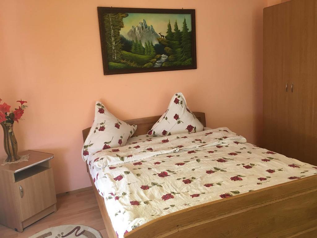 Pensiunea Vasilica Ceterasu Onceşti Exteriör bild
